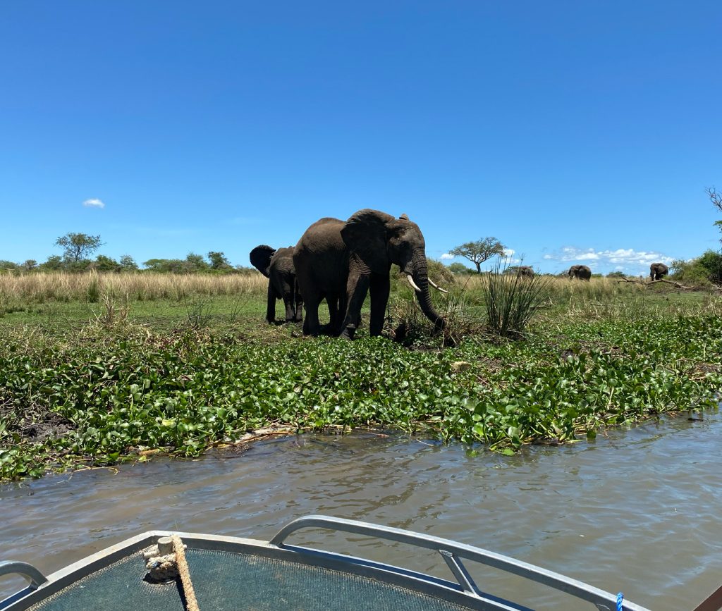 Custom Tour Packages in South Africa