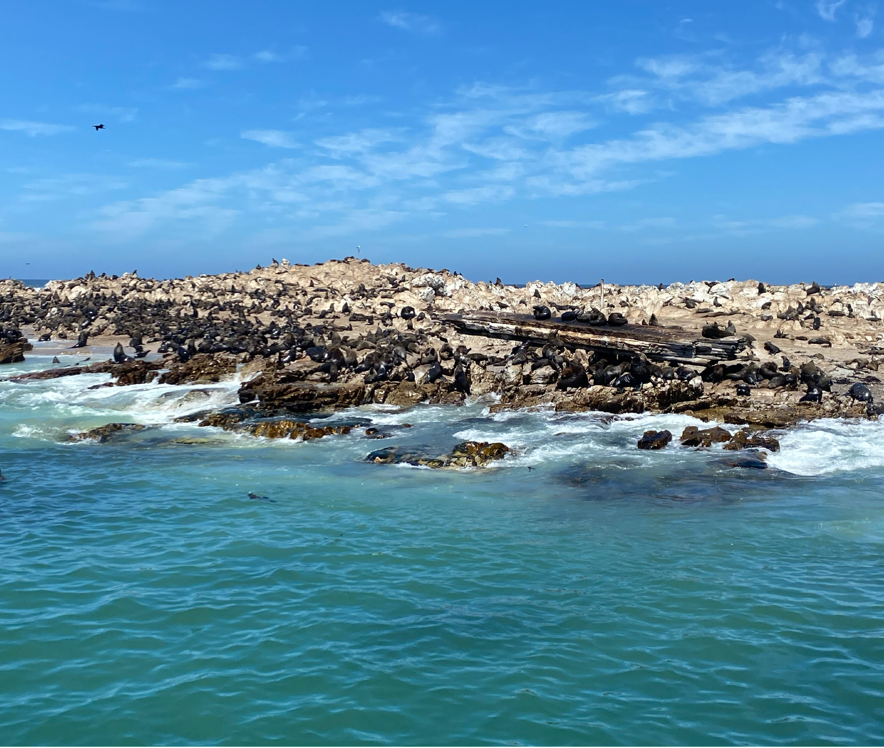 Cape Town Tour Packages South Africa