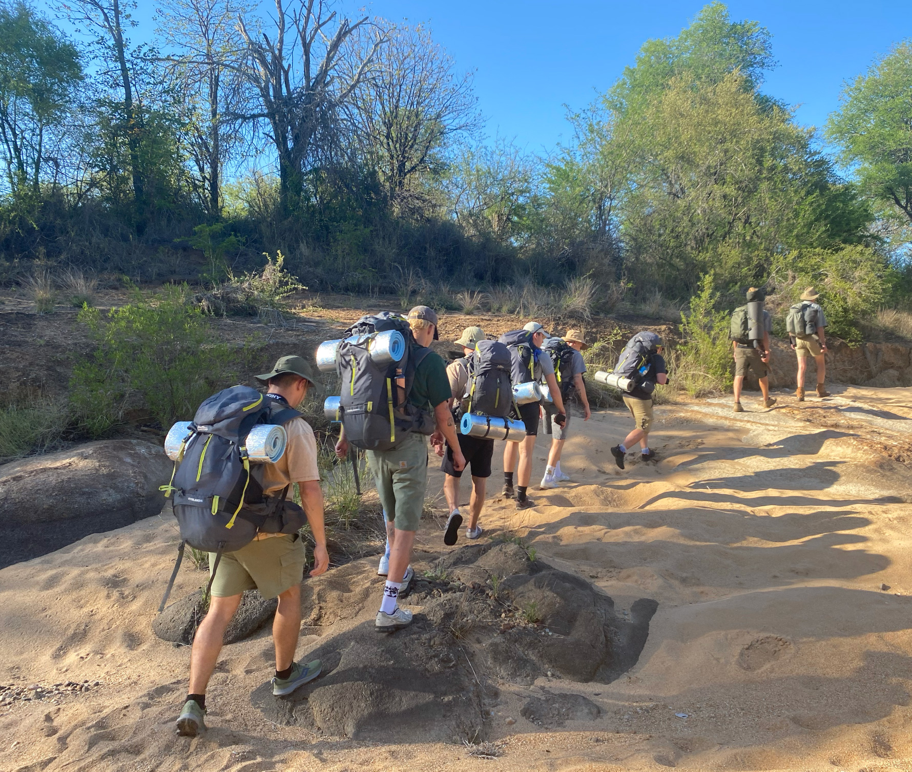 Eco Safari Tour Packages South Africa