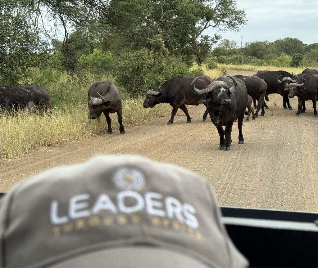 Customized luxury tours of South Africa