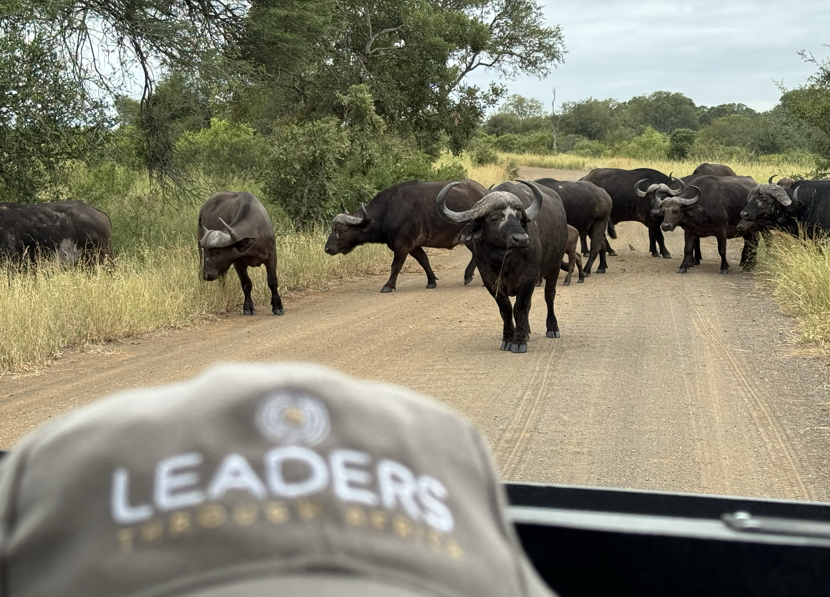 Screenshot 2025-03-07 at 15.10.36